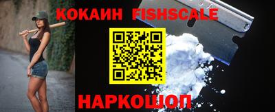 шишки Новодвинск