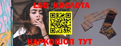 шишки Новодвинск