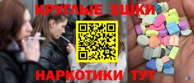 шишки Новодвинск