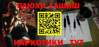 шишки Новодвинск