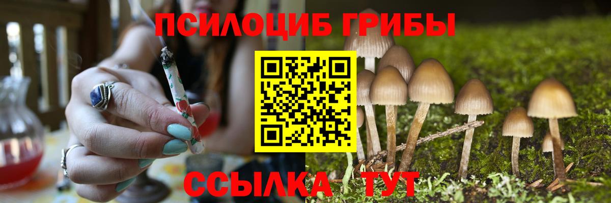 Галлюциногенные грибы Magic Shrooms Ступино